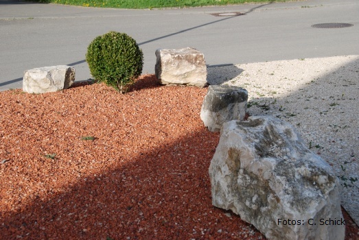 Rall_Dettingen (18).JPG